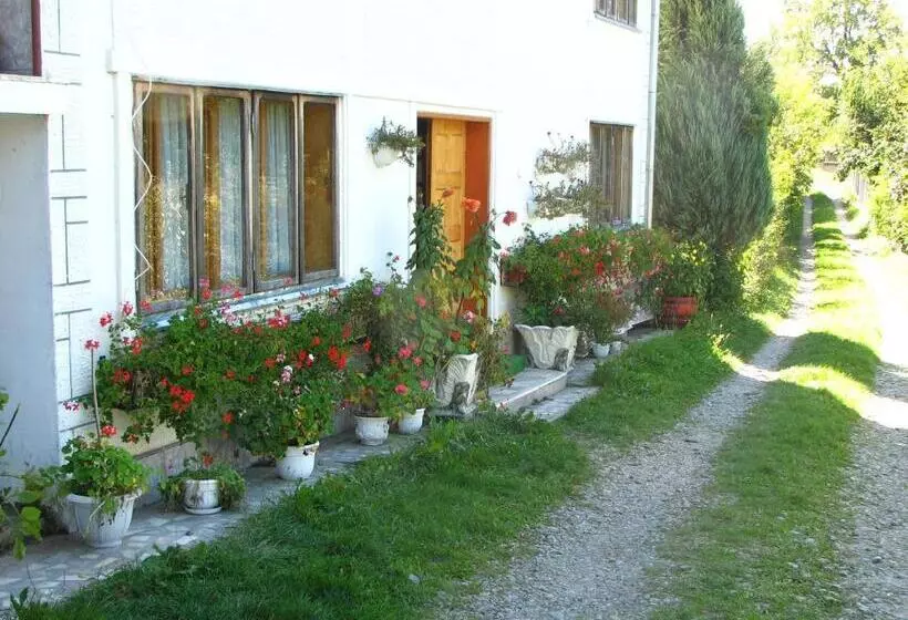 Pensiunea Paradis