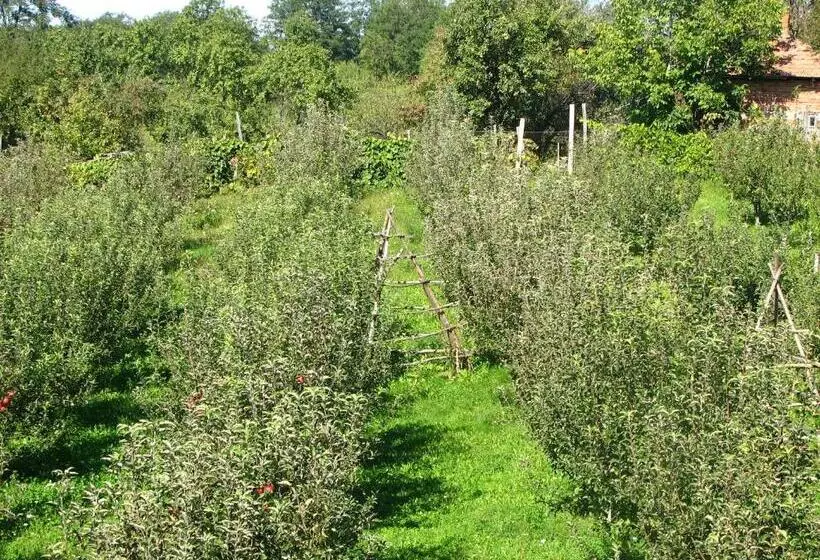 Pensiunea Paradis