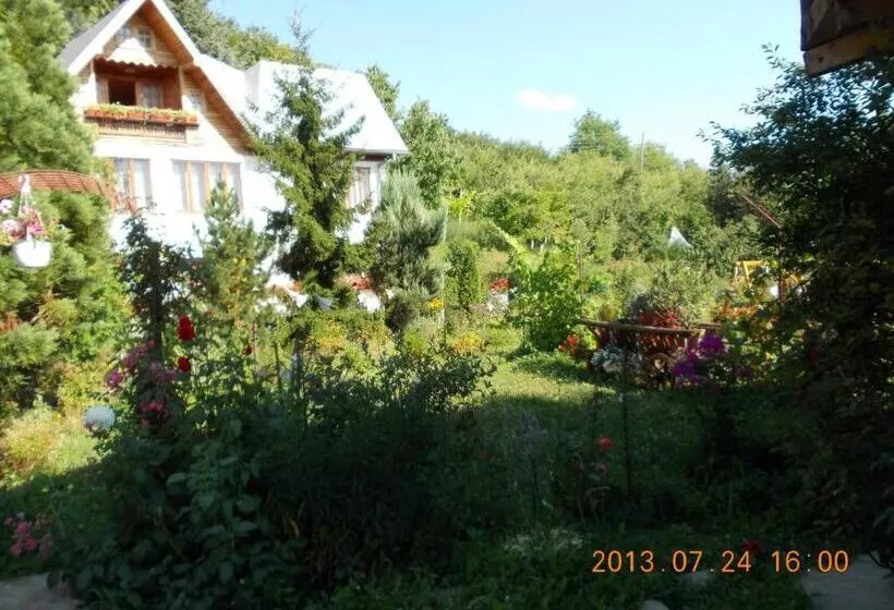 Pensiunea Paradis