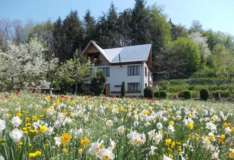 Pensiunea Paradis