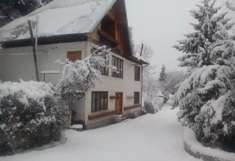 Pensiunea Paradis