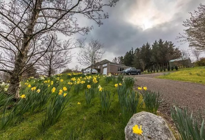 The Sheiling B&b   Nc 500