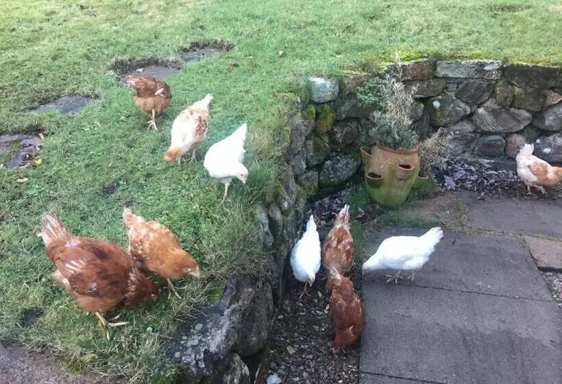 The Sheiling B&b   Nc 500