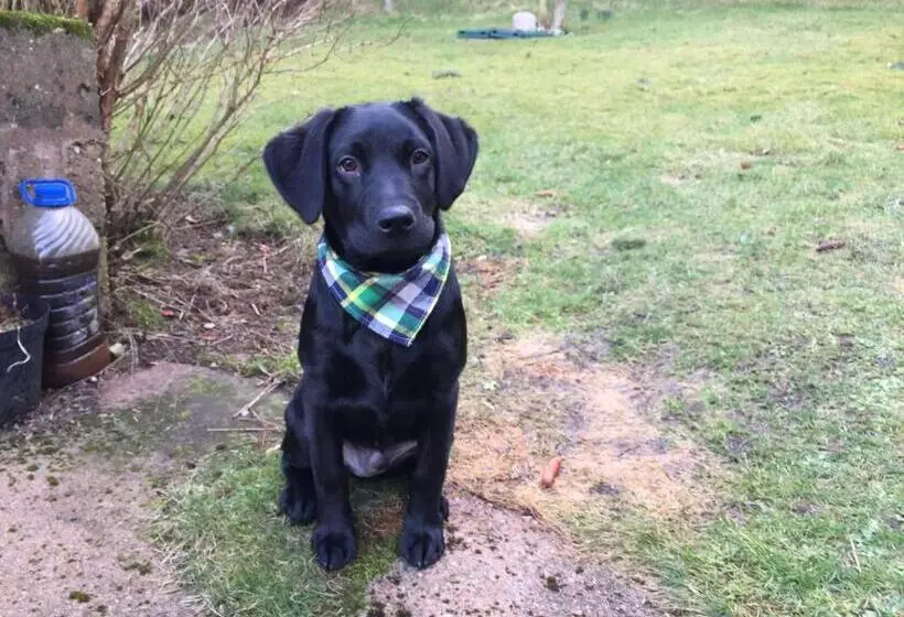 The Sheiling B&b   Nc 500