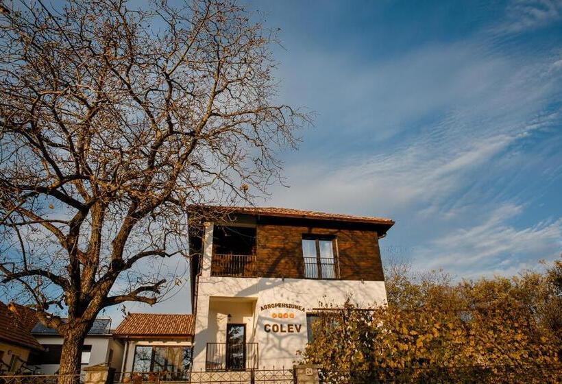 Agropensiunea Colev