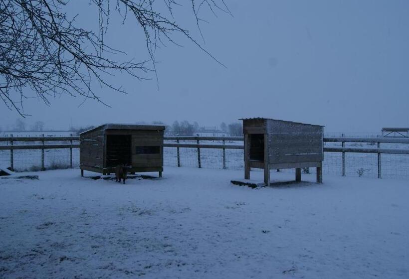 Bed and Breakfast Au Soleil Vert   Chambre De Charme Avec Spa Et Sauna Privés