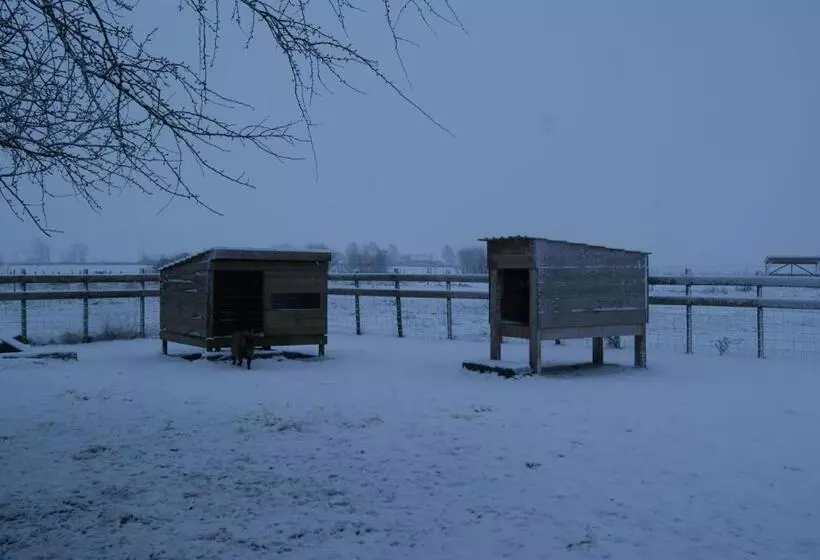 Aamiaismajoitus (B&B) Au Soleil Vert   Chambre De Charme Avec Spa Et Sauna Privés