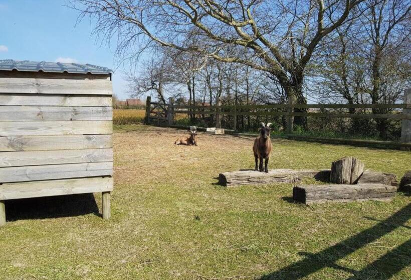 Bed and Breakfast Au Soleil Vert   Chambre De Charme Avec Spa Et Sauna Privés