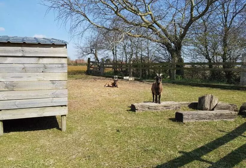 Aamiaismajoitus (B&B) Au Soleil Vert   Chambre De Charme Avec Spa Et Sauna Privés