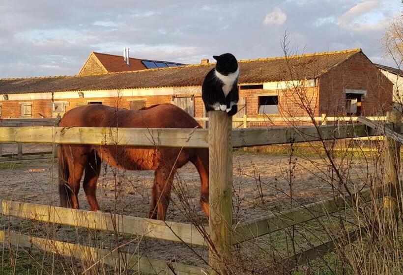 Bed and Breakfast Au Soleil Vert   Chambre De Charme Avec Spa Et Sauna Privés