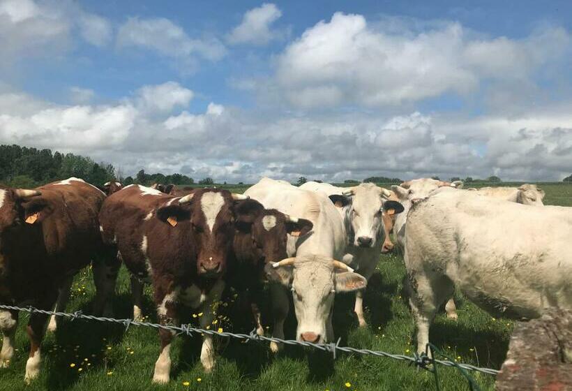 ベッドアンドブレックファースト La Corbonniere