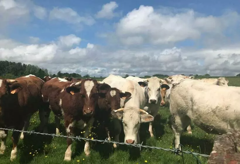 Aamiaismajoitus (B&B) La Corbonniere