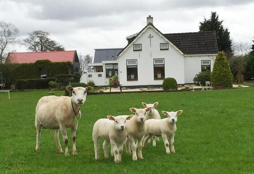 Bed and Breakfast Sfeervol Appartement Het Knooppunt