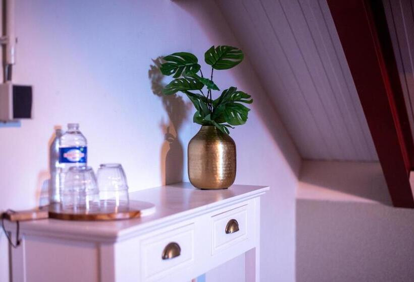 Bed and Breakfast Sfeervol Appartement Het Knooppunt