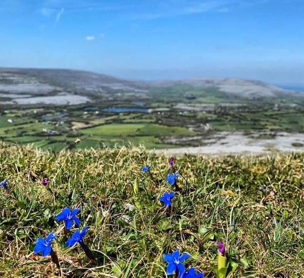 Burren Rock Farmhouse B&b