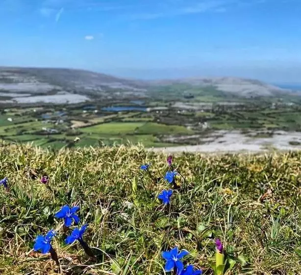 Burren Rock Farmhouse B&b