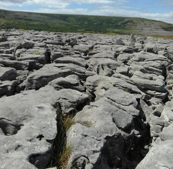 Burren Rock Farmhouse B&b