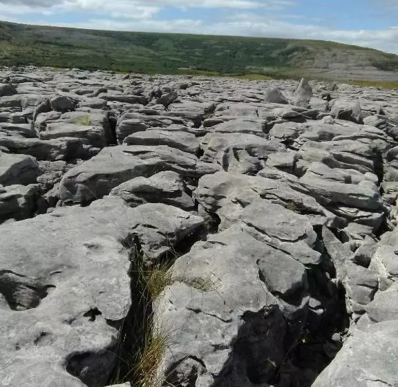Burren Rock Farmhouse B&b