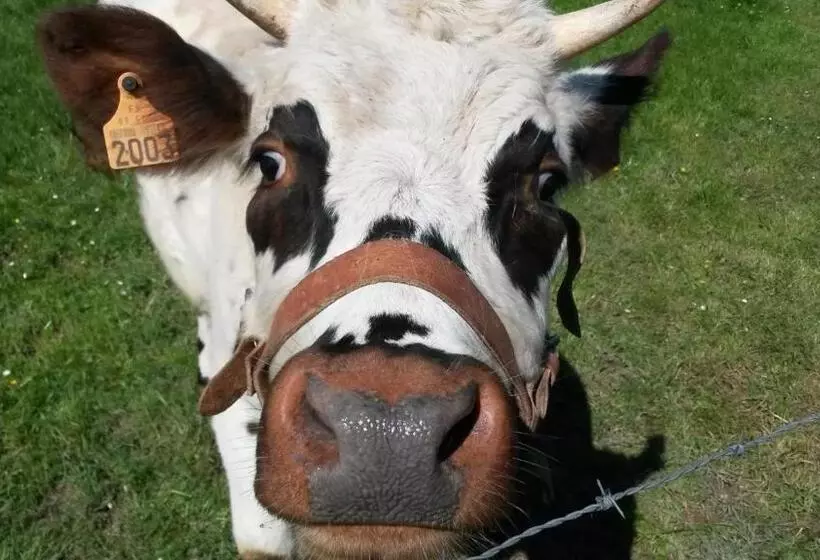 Hotelli Ferme Pedagogique Des Pennetieres