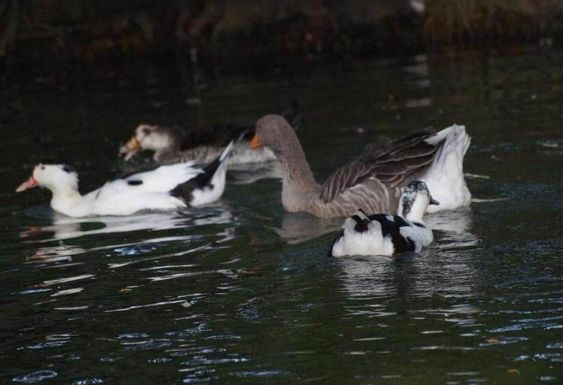 호텔 Ferme Pedagogique Des Pennetieres