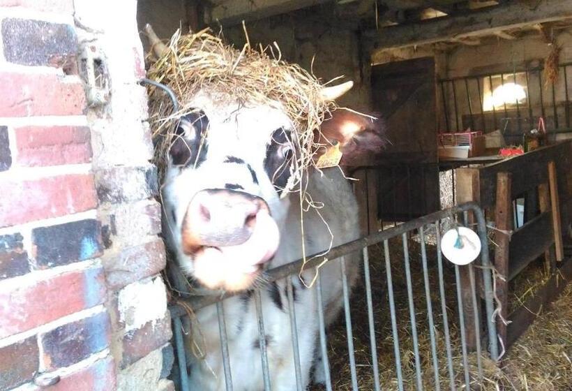 호텔 Ferme Pedagogique Des Pennetieres