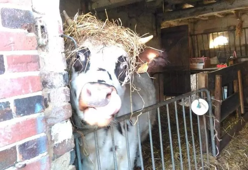 Hotelli Ferme Pedagogique Des Pennetieres