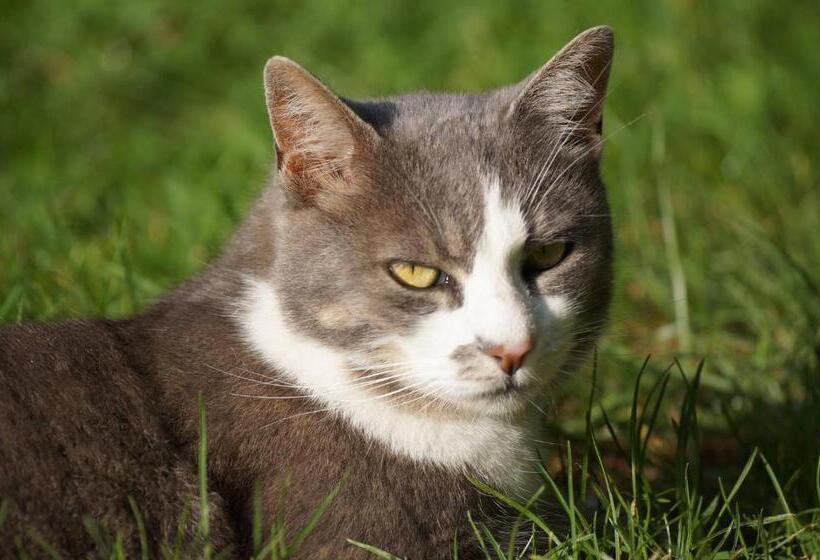 호텔 Ferme Pedagogique Des Pennetieres