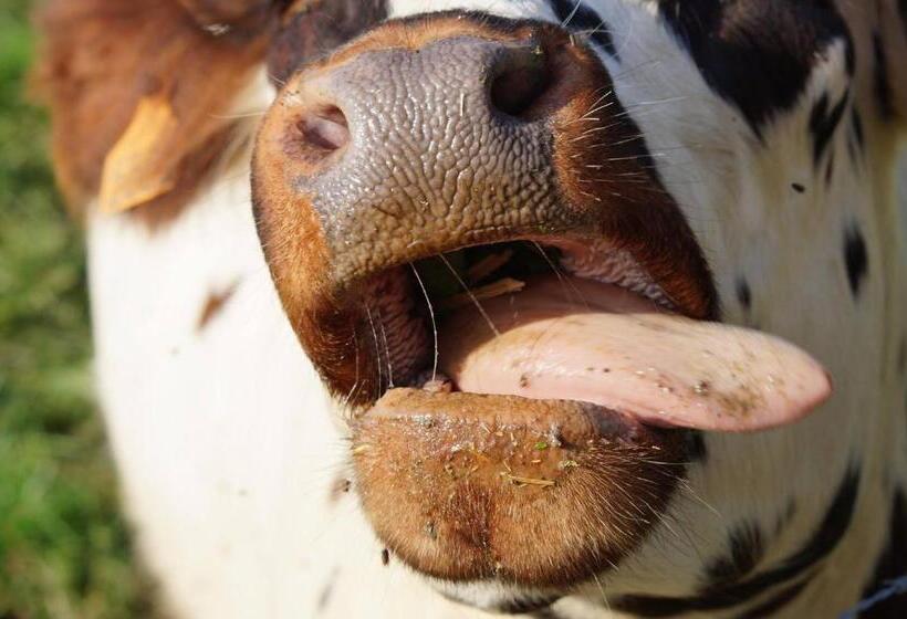 호텔 Ferme Pedagogique Des Pennetieres