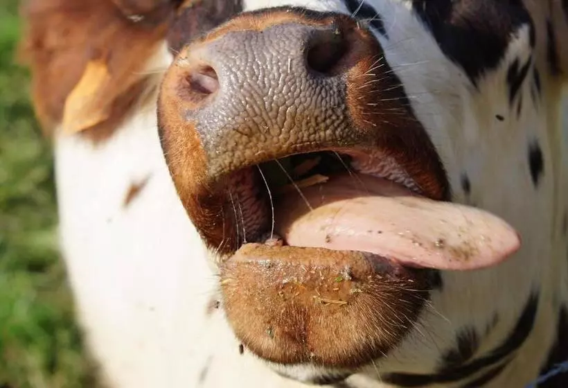 Hotelli Ferme Pedagogique Des Pennetieres