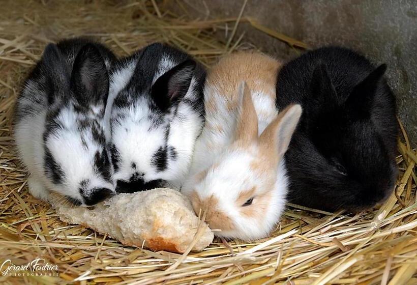 호텔 Ferme Pedagogique Des Pennetieres