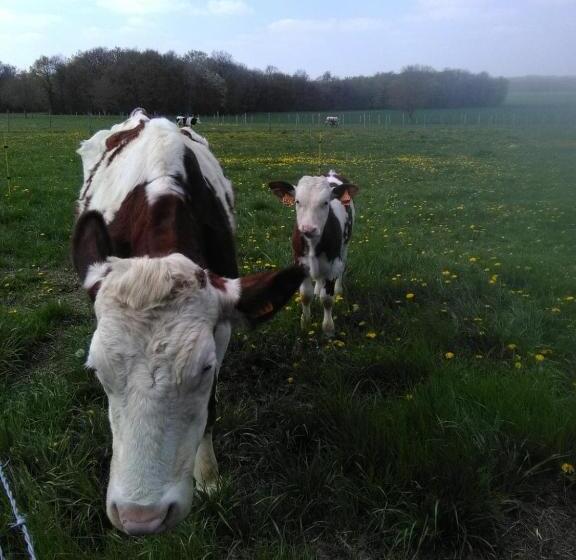 ホテル Ferme Pedagogique Des Pennetieres