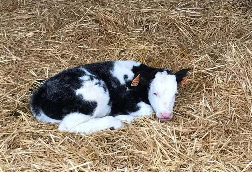 Hotelli Ferme Pedagogique Des Pennetieres