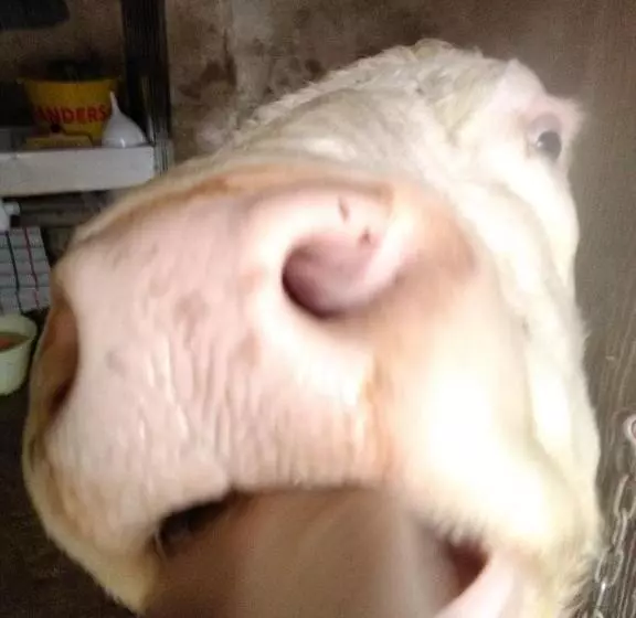 Hotelli Ferme Pedagogique Des Pennetieres