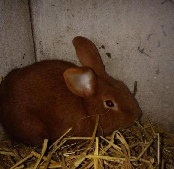 호텔 Ferme Pedagogique Des Pennetieres