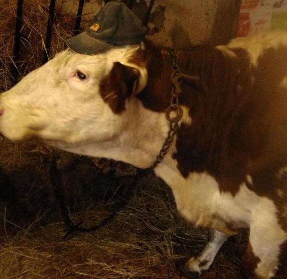 호텔 Ferme Pedagogique Des Pennetieres