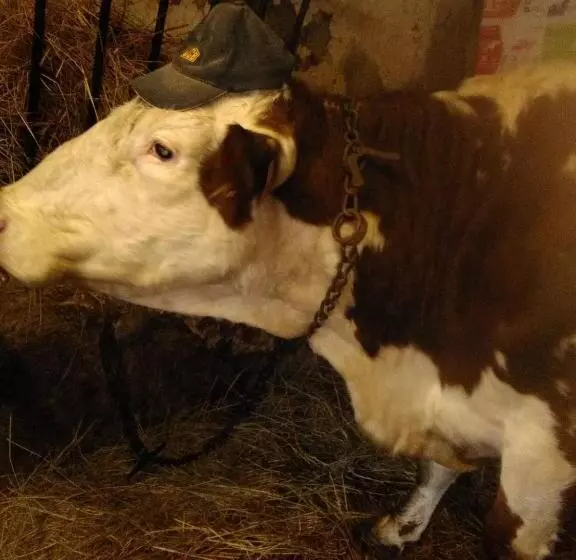 Hotelli Ferme Pedagogique Des Pennetieres