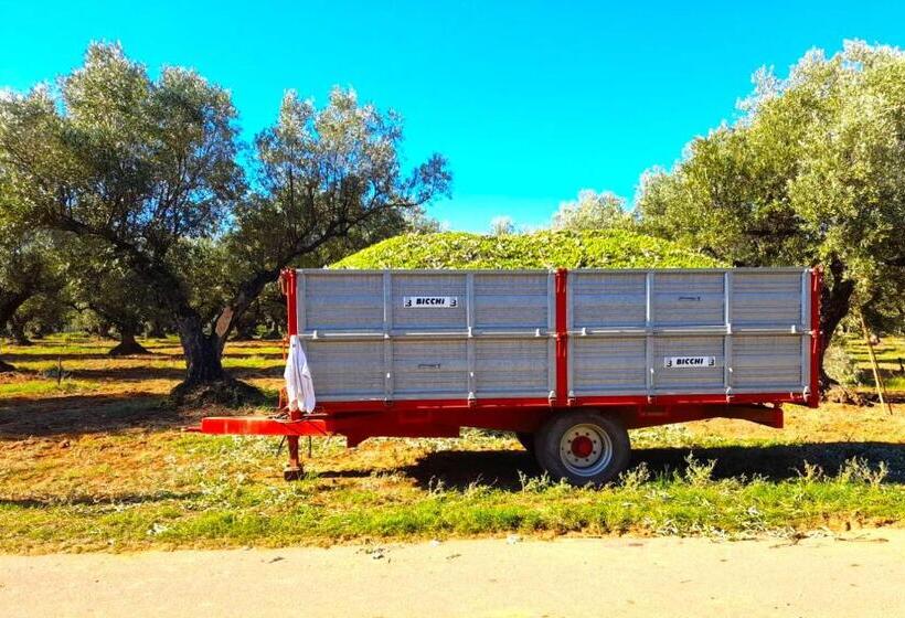 בית מלון כפרי Feudo Delle Querce