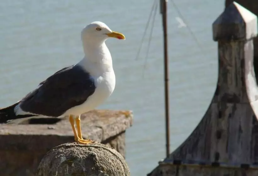 Majatalo Entre Mont St Michel Et Merveille