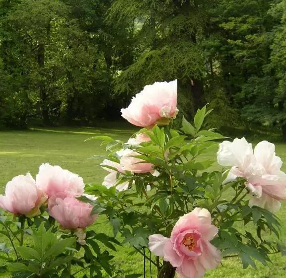 Majatalo Le Domaine De Pomone