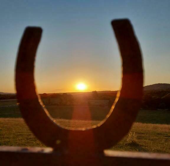 ベッドアンドブレックファースト Les Distinguées Manoir De Bessodes