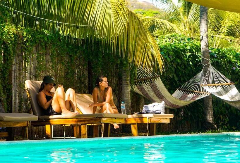 בית מלון כפרי Casaola Mizata