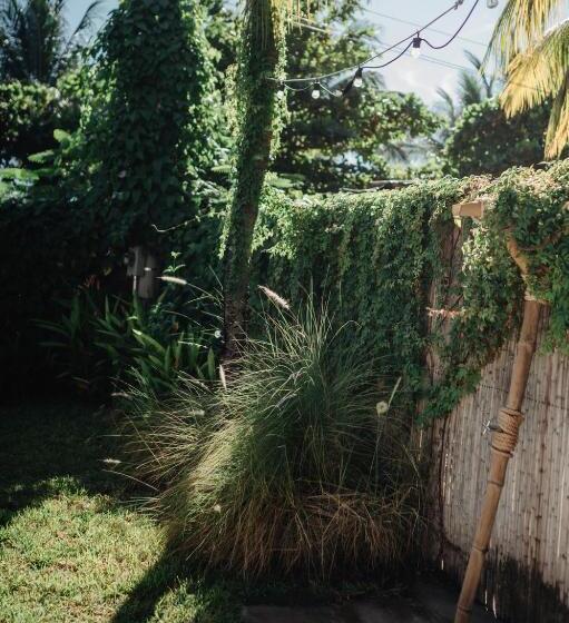 בית מלון כפרי Casaola Mizata