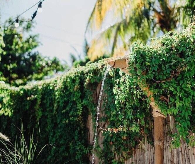 בית מלון כפרי Casaola Mizata