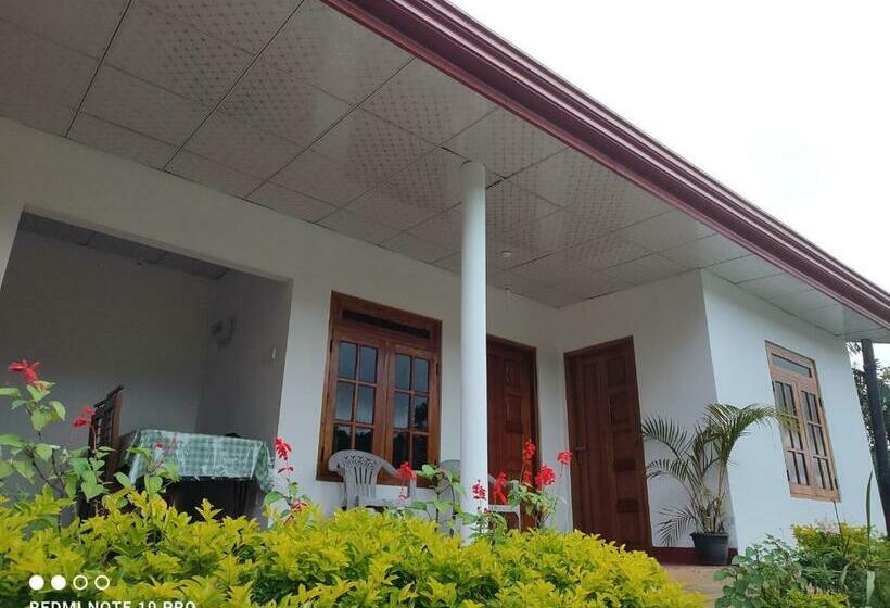 بنسيون Greenish Inn