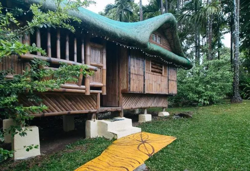 Rainbow Forest Paradise Resort And Camping Area By Cocotel