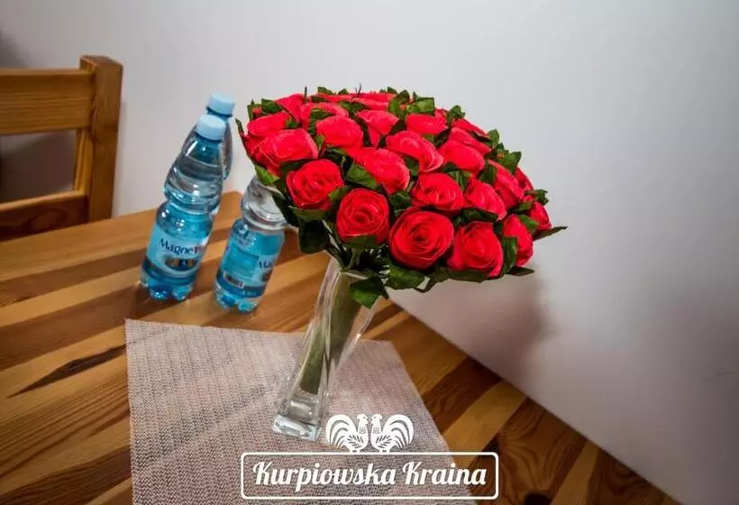 ホテル Kurpiowska Kraina
