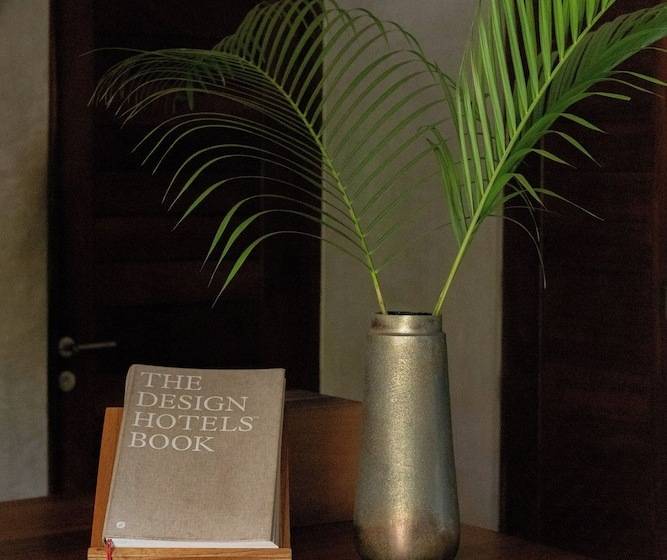 호텔 Lo Sereno Casa De Playa