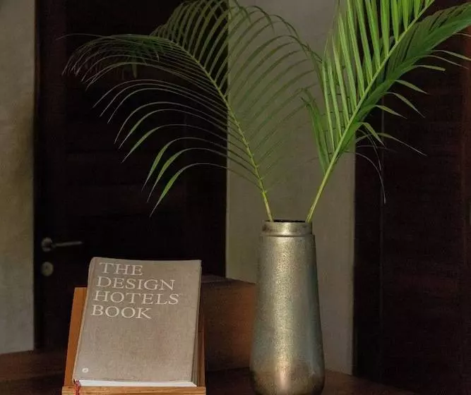 Hotelli Lo Sereno Casa De Playa