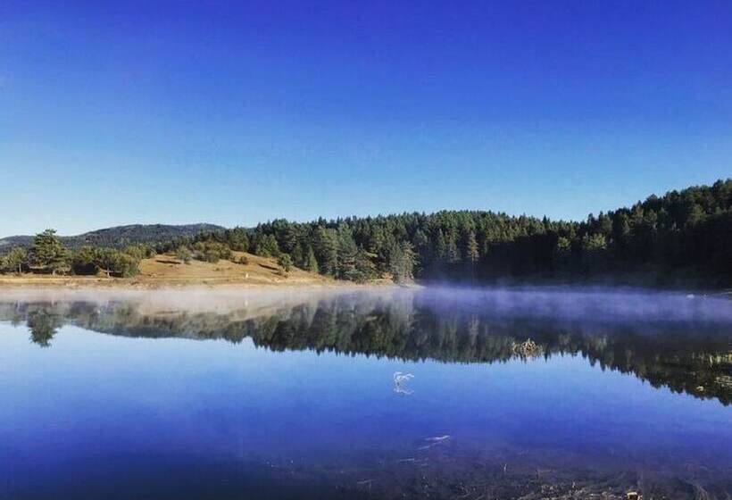 ホテル Taraklı Termal Suite