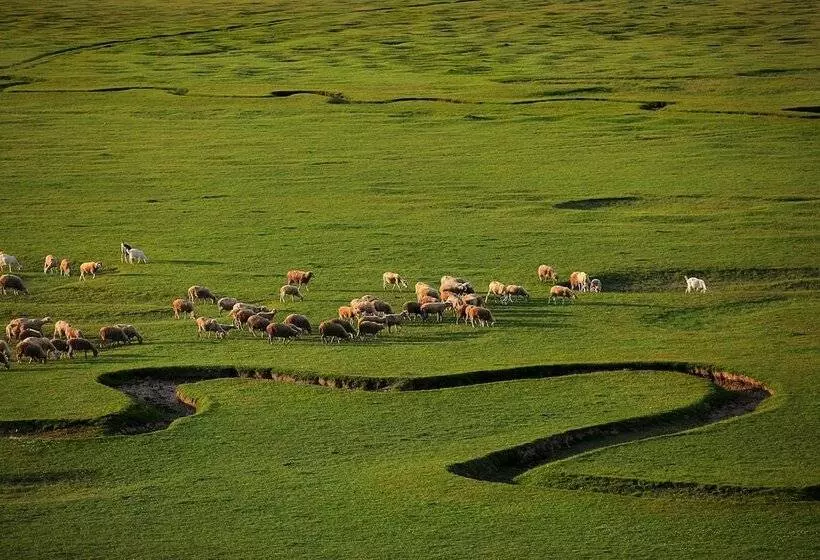 Hotelli Taraklı Termal Suite